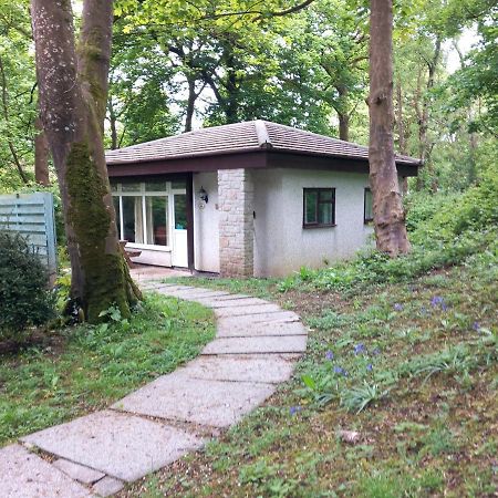 Woodland Retreat Villa Uny Lelant Dış mekan fotoğraf