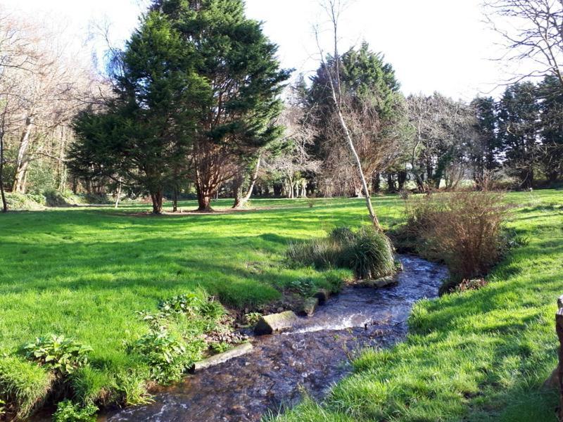 Woodland Retreat Villa Uny Lelant Dış mekan fotoğraf