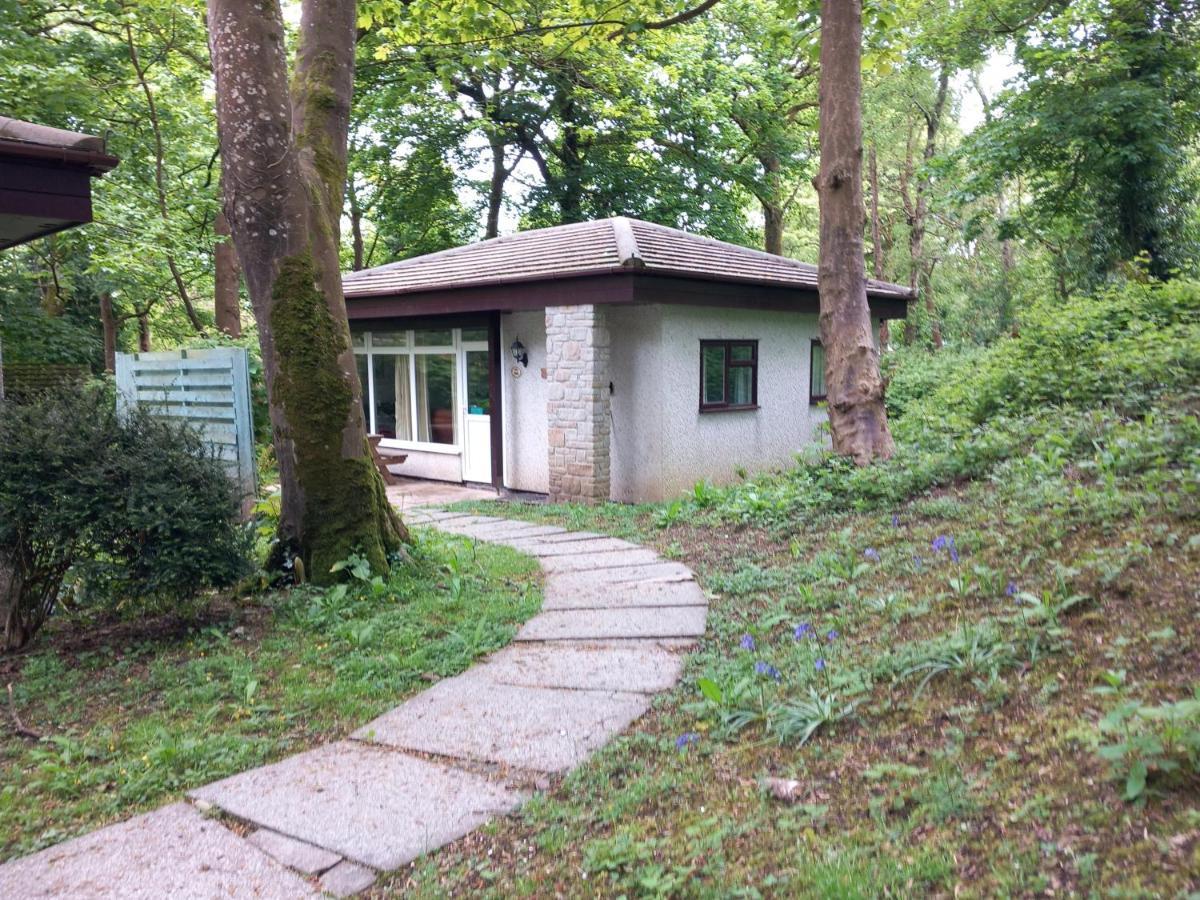 Woodland Retreat Villa Uny Lelant Dış mekan fotoğraf